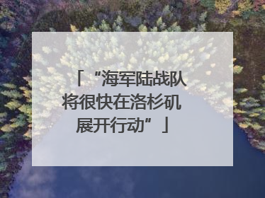“海军陆战队将很快在洛杉矶展开行动”