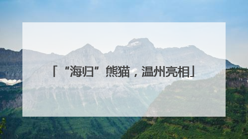 “海归”熊猫，温州亮相