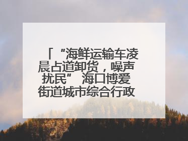 “海鲜运输车凌晨占道卸货，噪声扰民” 海口博爱街道城市综合行政执法中队：将联合交警加强长堤路一带巡逻
