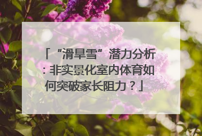 “滑旱雪”潜力分析：非实景化室内体育如何突破家长阻力？
