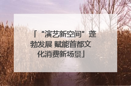 “演艺新空间”蓬勃发展 赋能首都文化消费新场景