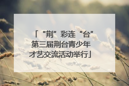 “荆”彩连“台” 第三届荆台青少年才艺交流活动举行