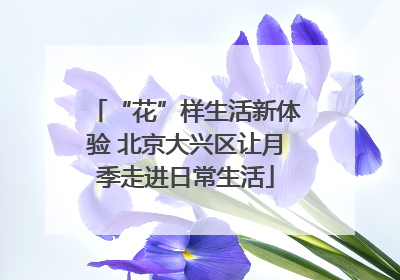 “花”样生活新体验 北京大兴区让月季走进日常生活