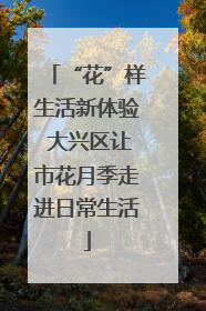 “花”样生活新体验 大兴区让市花月季走进日常生活