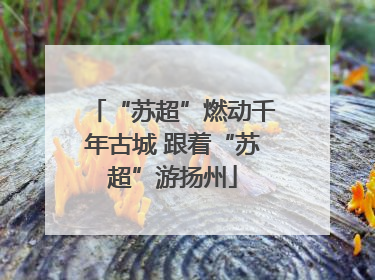 “苏超”燃动千年古城 跟着“苏超”游扬州