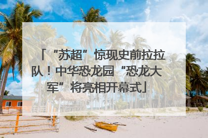 “苏超”惊现史前拉拉队！中华恐龙园“恐龙大军”将亮相开幕式