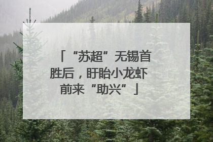 “苏超”无锡首胜后，盱眙小龙虾前来“助兴”