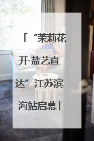 “茉莉花开·盐艺直达”江苏滨海站启幕