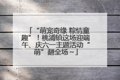 “萌宠奇缘 粽情童趣”！桃浦镇这场迎端午、庆六一主题活动“萌”翻全场～