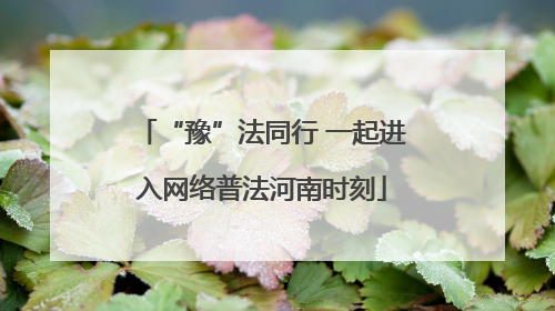 “豫”法同行 一起进入网络普法河南时刻
