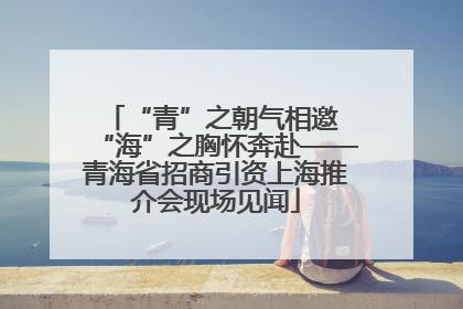 “青”之朝气相邀 “海”之胸怀奔赴——青海省招商引资上海推介会现场见闻