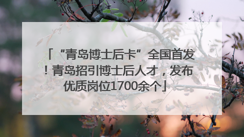 “青岛博士后卡”全国首发！青岛招引博士后人才，发布优质岗位1700余个