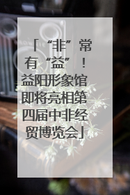 “非”常有“益”！益阳形象馆即将亮相第四届中非经贸博览会