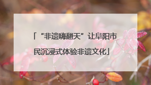 “非遗嗨翻天”让阜阳市民沉浸式体验非遗文化