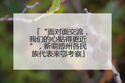 “面对面交流，我们的心贴得更近”，新疆博州各民族代表来鄂考察