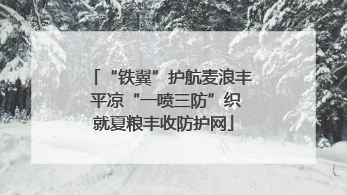 “铁翼”护航麦浪丰 平凉“一喷三防”织就夏粮丰收防护网