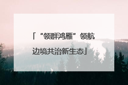 “领群鸿雁”领航边境共治新生态