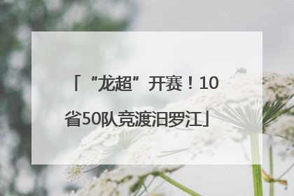 “龙超”开赛！10省50队竞渡汨罗江