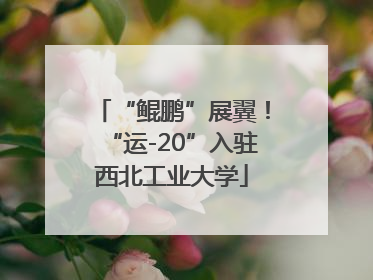 “鲲鹏”展翼！“运-20”入驻西北工业大学