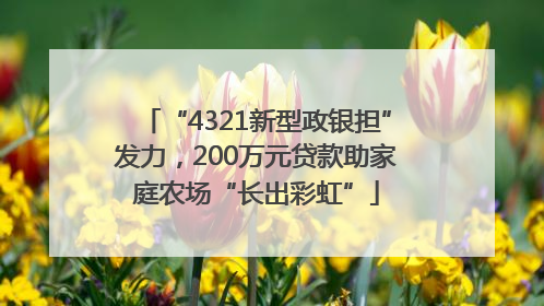 “4321新型政银担”发力，200万元贷款助家庭农场“长出彩虹”