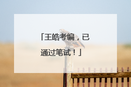 王皓考编，已通过笔试！