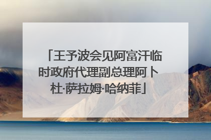 王予波会见阿富汗临时政府代理副总理阿卜杜·萨拉姆·哈纳菲
