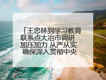 王忠林到学习教育联系点大冶市调研 加压加力 从严从实 确保深入贯彻中央八项规定精神学习教育取得实效