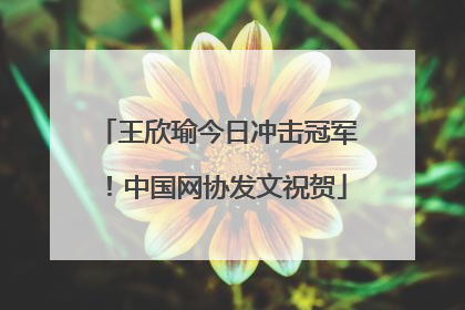 王欣瑜今日冲击冠军！中国网协发文祝贺