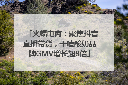 火蝠电商：聚焦抖音直播带货，干噎酸奶品牌GMV增长超8倍