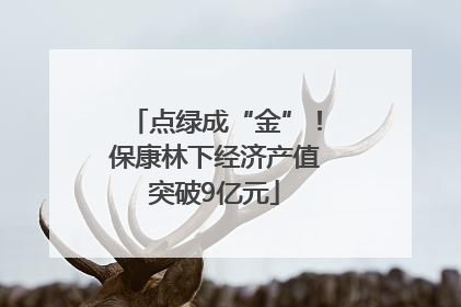 点绿成“金”！保康林下经济产值突破9亿元