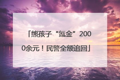 熊孩子“氪金”2000余元！民警全额追回