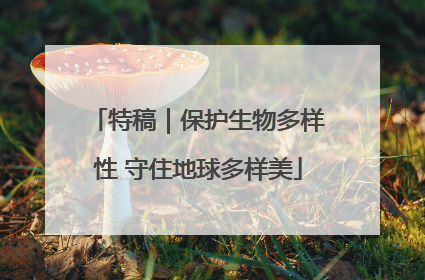 特稿｜保护生物多样性 守住地球多样美
