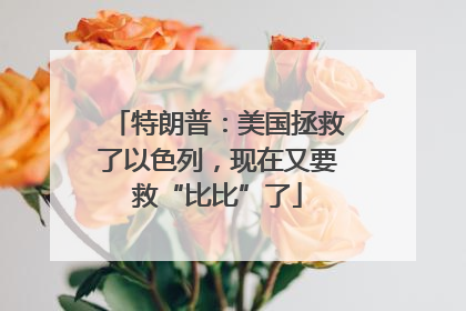 特朗普：美国拯救了以色列，现在又要救“比比”了