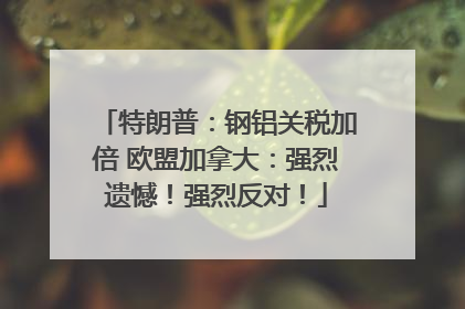 特朗普：钢铝关税加倍 欧盟加拿大：强烈遗憾！强烈反对！