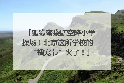 狐獴蜜袋鼯空降小学操场！北京这所学校的“撸宠节”火了！