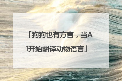 狗狗也有方言，当AI开始翻译动物语言