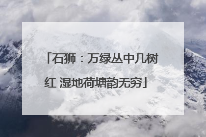 石狮：万绿丛中几树红 湿地荷塘韵无穷