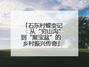 石东村蝶变记：从“穷山沟”到“聚宝盆”的乡村振兴传奇