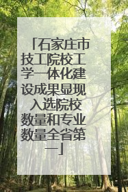 石家庄市技工院校工学一体化建设成果显现 入选院校数量和专业数量全省第一