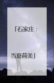 石家庄：当夏荷美