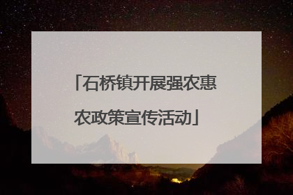 石桥镇开展强农惠农政策宣传活动