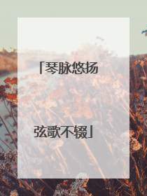 琴脉悠扬 弦歌不辍