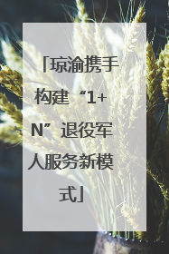琼渝携手构建“1+N”退役军人服务新模式