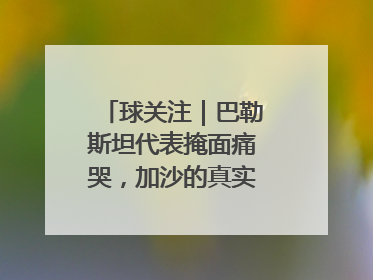 球关注｜巴勒斯坦代表掩面痛哭，加沙的真实现状让人痛心