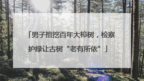 男子擅挖百年大樟树，检察护绿让古树“老有所依”