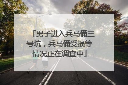 男子进入兵马俑三号坑，兵马俑受损等情况正在调查中
