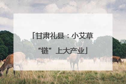 甘肃礼县：小艾草“链”上大产业