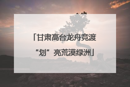 甘肃高台龙舟竞渡“划”亮荒漠绿洲