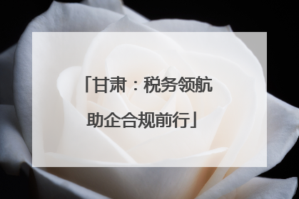 甘肃：税务领航 助企合规前行