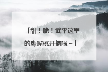 甜！脆！武平这里的鹰嘴桃开摘啦～